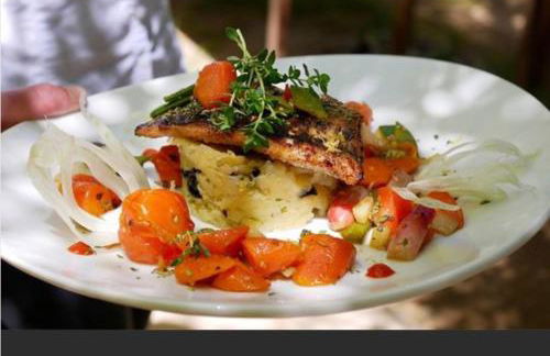 Domaine Panciarella - Foto 16