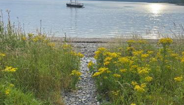 View of the Mountain - Foto 4