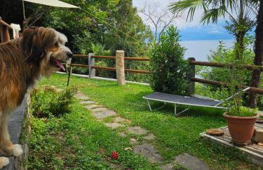 Mid of Nature ' Bella Vista Lago Maggiore charmant mit traumhaften Seeblick, Terrasse und großen Garten - Foto 6