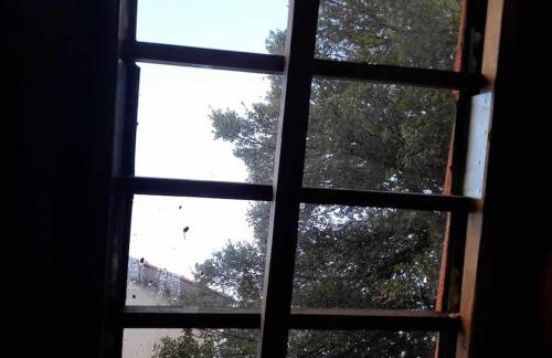 Forest View House Seta - Photo 10