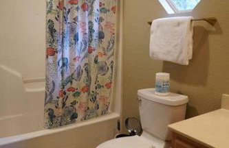 Massive lakefront home with HOT TUB - Foto 77