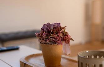 Ferienwohnung Moin Moor mit Klima, Fussbodenheizung und WLAN - Foto 17