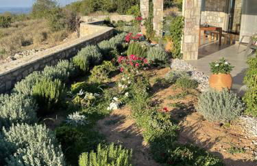 Stonevillas and Seaview Garden Marion - Foto 3