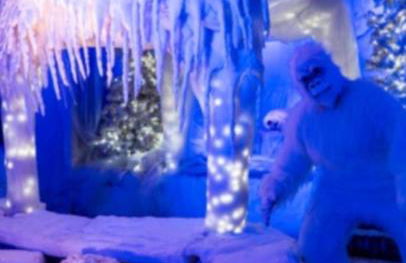 Appartamento nella Tuscia La Pucciarella - Foto 17