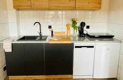 GÓRSKA CISZA - Duży, komfortowy, wyjątkowy Apartament - Foto 39