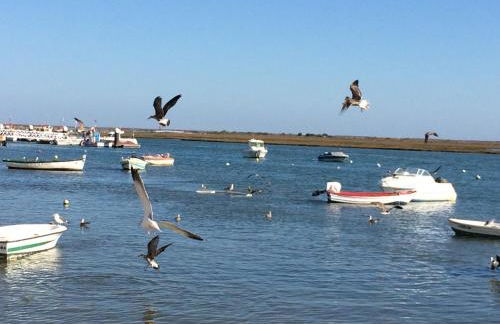 Pedras del Rei, Nature and Beach Apartment - Foto 41