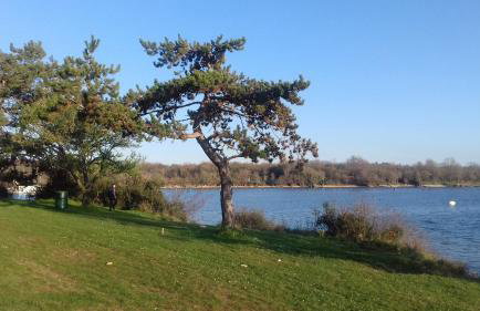 Santa Marina - Foto 26