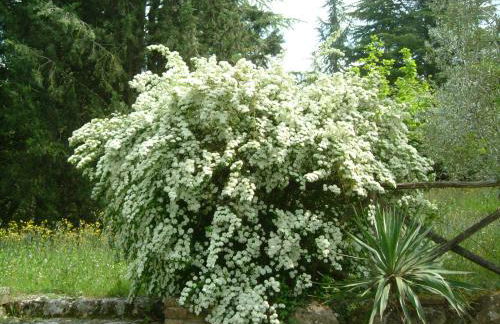 Castel Pietraio WineResort - Foto 49