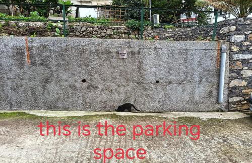 Rose house - Foto 21