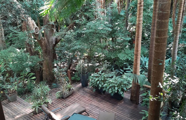 Treetops Accommodation Montville - Photo 40