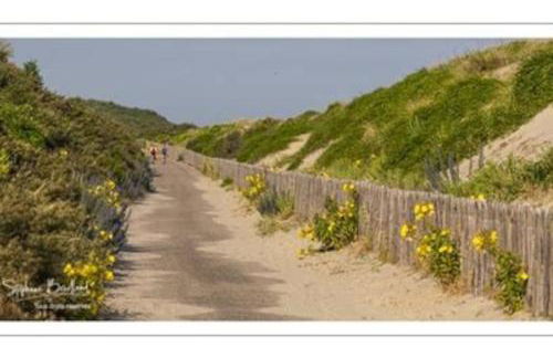 La Baigneuse maison avec jardinet et parking privé, à 200 m plage - Foto 64