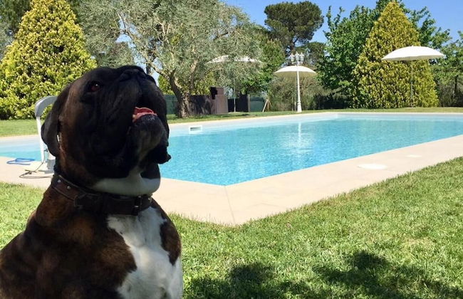 Agriturismo al Colle - Photo 27