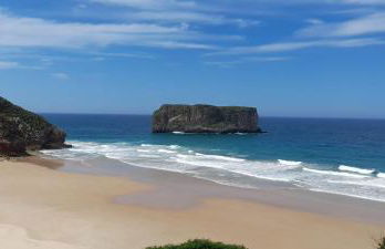 Gestiona2R - Villa con finca, Piscina-Padel-Golf - Foto 37