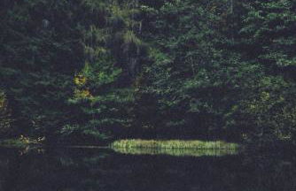 Blickinsfreie - Cabin - Foto 52