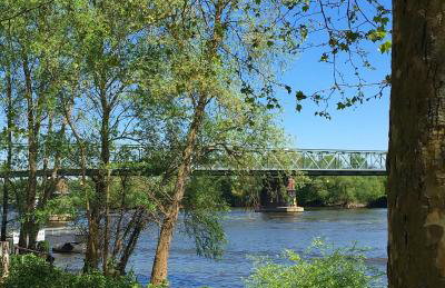 Ferienhaus Zur Mainpforte - Foto 23