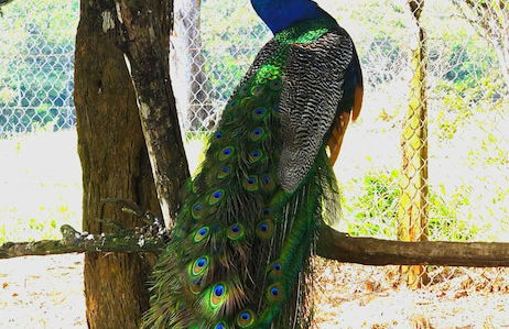 Almore Hotel - Foto 50