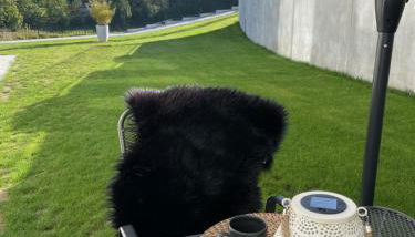 Apartments Saaldorf-Ferienhaus mit 6 Apartments 45qm-120qm direkt am Thüringer Meer-Bleilochtalsperre - Foto 2