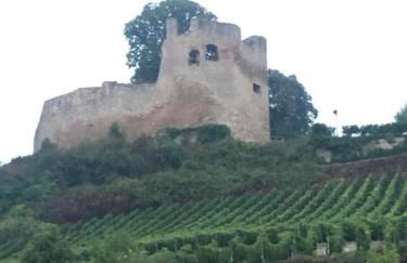 Apartment Rosalie Burgblick EuropaPark in ca 15min erreichbar - Foto 41