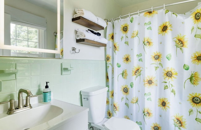 Asheville Sunset 10min to Asheville + Ping Pong - Foto 121