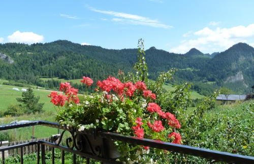 Agroturystyka Pod Zamczyskiem - Photo 36