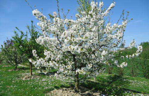 Residenza Gavioli Via Angelelli - Parco Navile - Photo 34