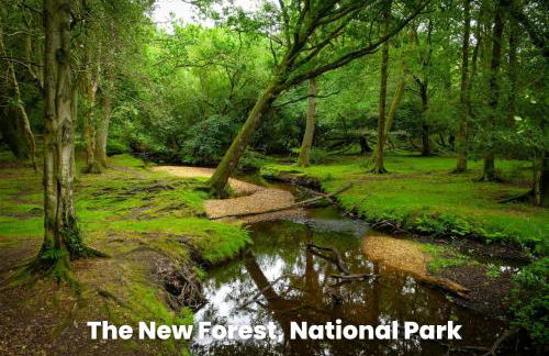 Cosy Retreat Near New Forest - Foto 39