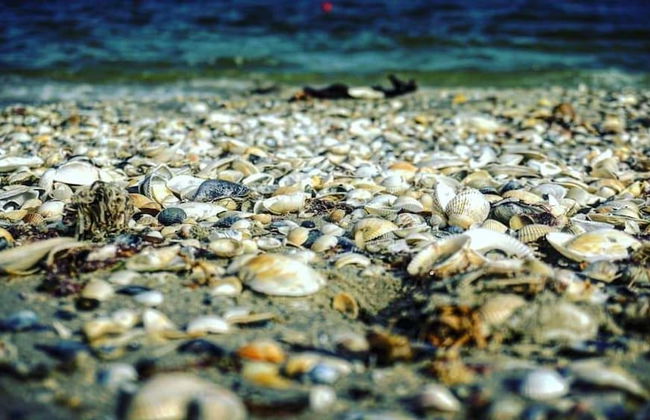 Sea View Penthouse Mamaia - Foto 25