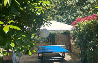 Ferienwohnung Buntspecht - Foto 18