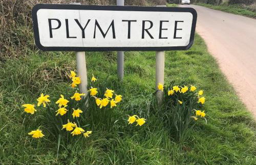 Delightful detached Cottage in Village Centre - Photo 28
