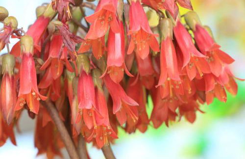 Casa vacanze Ester - Photo 60