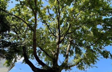 Cosy House Near Paris, CDG Airport + parking - Foto 23