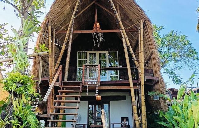 The Frog Cabana - Photo 8