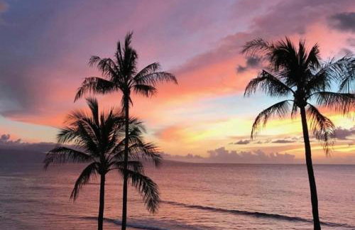 Oceanfront Remodeled-30 Feet to Ocean-Central AC-Highly Sought After - Foto 47