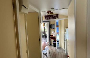 Salamandre - Foto 32