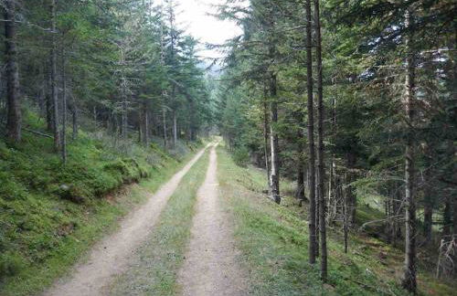 Duplex 8 couchages, vue montagne, jardin cheminée - Foto 11