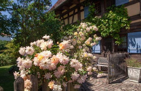Historischer Vogtshof: eingezäunt | sonniger Garten | Kamin | Denkmalschutz - Foto 66