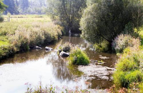 Wohnung nahe dem Skigebiet in Wehrstapel - Foto 16