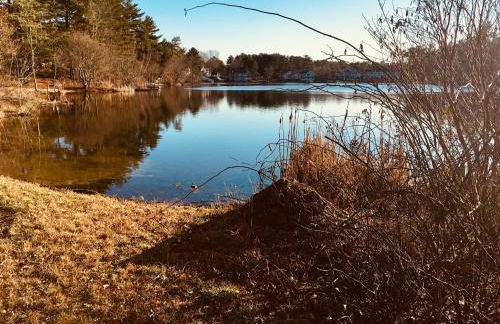 Clear Pond Suite - Photo 67