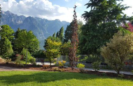 Masetto Egidio Eco-Agritur - Foto 86