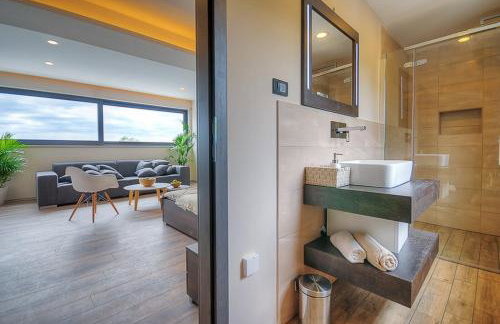 Villa Onyx for 12 people near Porec with 65 private pool and jacuzzi - Photo 41