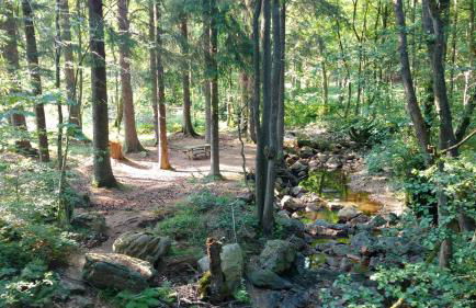 Schmugglernest - Foto 33