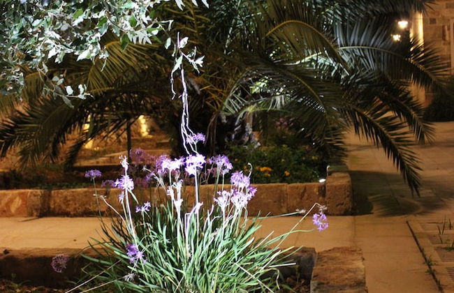 Masseria Pagani - Photo 72