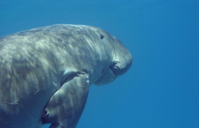 Marina View Residence - Foto 27