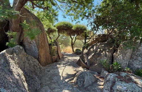 Casa espaciosa con aire acondicionado y admite mascotas en Pau - ES-366-2 - Foto 8