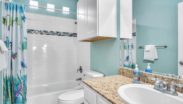 Servizio della struttura