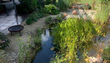 kleine Schwarzwaldlodge - Foto 4, Garden view