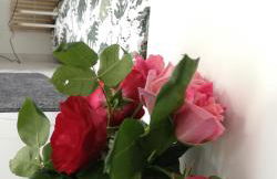 Proche Hôpital LyonSud Metro B Calme et WiFi - Foto 12