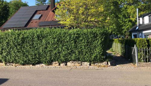 Helle 45 qm Einliegerwohnung - Foto 3