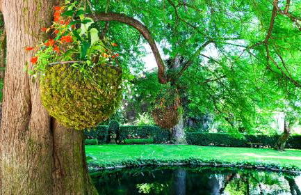 Orion Guest Villa Casais - Foto 69