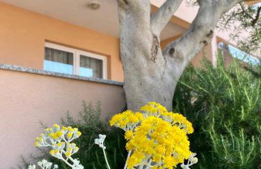 Apartments Ivana - Foto 11